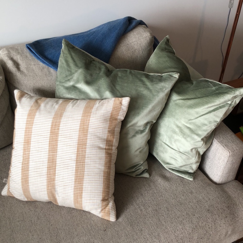 3 Throw Pillows - West Elm, Hearth & Hand